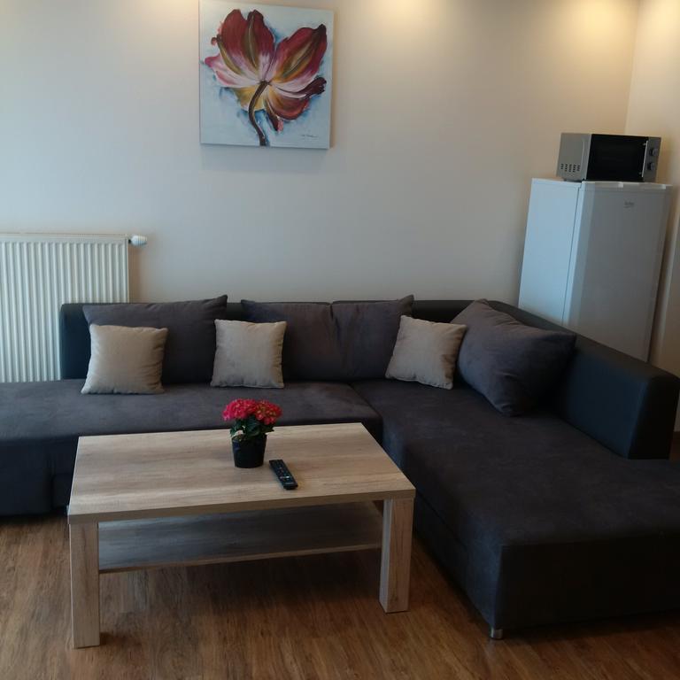 Apartman Livingstone - Roudna Apartment Plzen Bagian luar foto